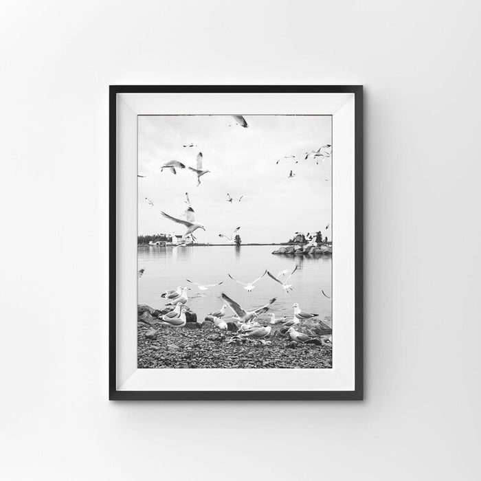 Seagulls at Dawn